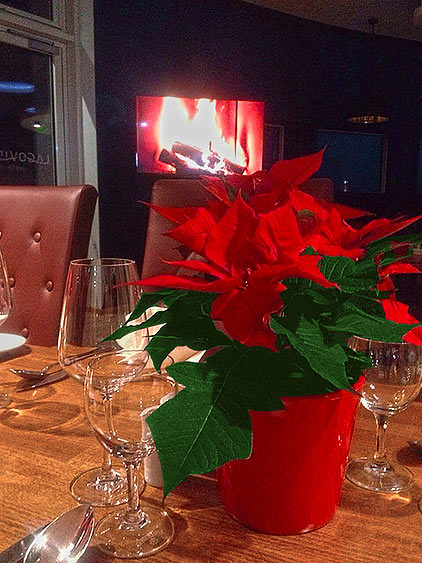 Urlaub �ber Silvester bei Leipzig. Silvester-Kurzurlaub am St�rmthaler See im Leipziger Neuseenland.