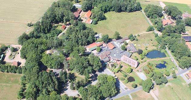 Urlaub ber Silvester in der Lneburger Heide. Silvesterkurzurlaub in der Weltvogelparkstadt Walsrode im Heidekreis.