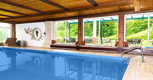 Schwimmbad Hotelhallenbad Pool Urlaub �ber Silvester im Hotel im Rheingau Silvester-Kurzurlaub im Waldhotel zwischen Geisenheim am Rhein, R�desheim, Schloss Johannisberg, Eberbach und Wiesbaden in Hessen.
