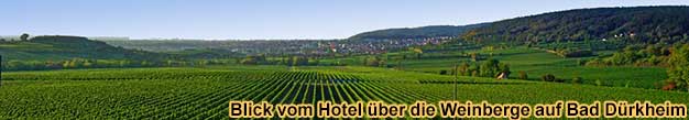 Urlaub über Silvester im Hotel in den Weinbergen bei Bad Dürkheim