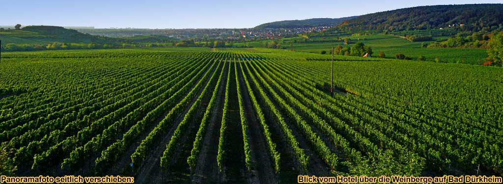 Urlaub ber Silvester im Hotel in den Weinbergen bei Bad Drkheim