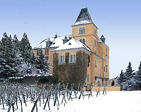 Urlaub ber Silvester im 4-Sterne-Schlosshotel in der Sdpfalz, Silvesterurlaub an der Weinstrae