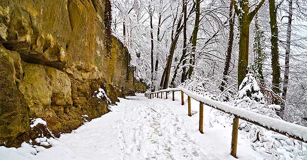 Urlaub ber Silvester am Bodensee, Silvesterurlaub in berlingen zwischen Meersburg, Blumeninsel Mainau, Konstanz, Radolfzell, Gemseinsel Reichenau, Friedrichshafen, Singen, Ravensburg, Stein am Rhein, Rheinfall bei Schaffhausen, Lindau und Bregenz 