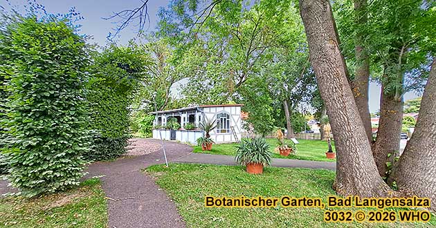 Botanischer Garten �Garten der Vielfalt� in Bad Langensalza mit exotischen Pflanzen, Yuccas, Agaven und Kakteen.
